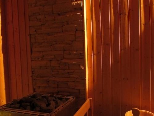 Hotel Orpheus Pamporovo Ski Bulgaria (41 / 48)