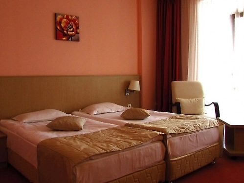 Hotel Orpheus Pamporovo (14 / 48)
