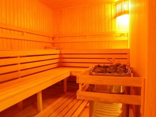 Aparthotel Winslow Infinity Bansko (29 / 43)