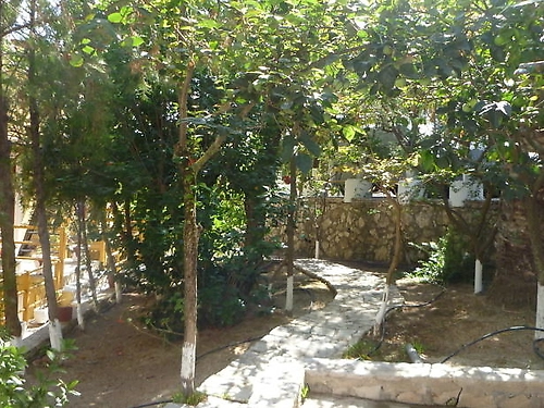 Hotel Mirabelle Grecia (7 / 21)