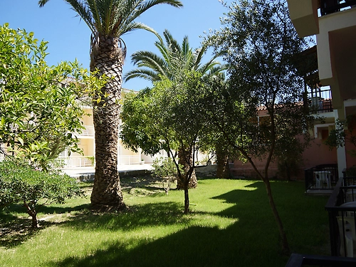 Hotel Papillon Zakynthos Grecia (10 / 18)