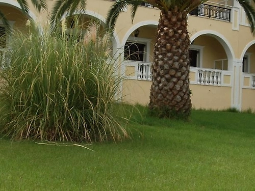 Hotel Palmyra Zakynthos (13 / 13)