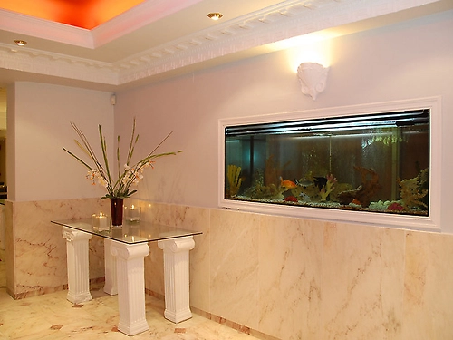 Hotel Meandros Boutique Zakynthos (32 / 41)