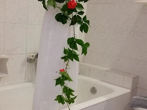 Hotel Astir Palace Grecia (15 / 21)