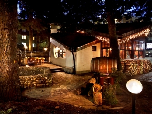 Hotel Flora Complex Ski Bulgaria (41 / 44)