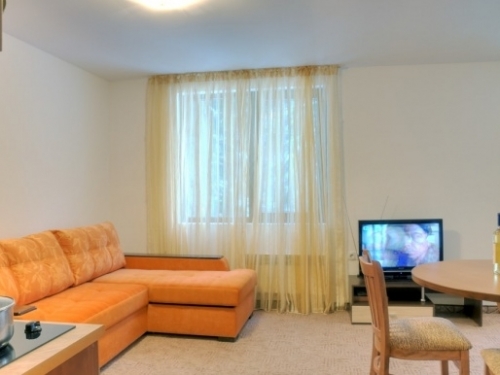 Mountain Lodge Aparthotel Pamporovo (28 / 34)