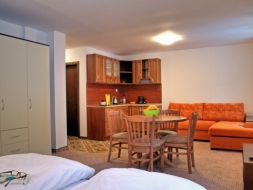 Mountain Lodge Aparthotel Pamporovo Ski Bulgaria (17 / 34)