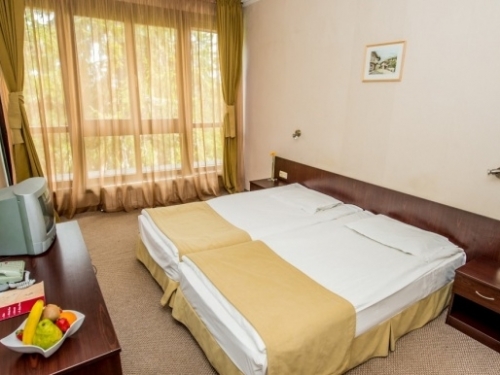 Hotel Snezhanka Pamporovo (10 / 46)