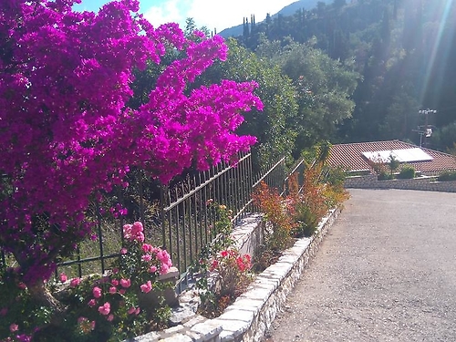 Hotel Santa Marina Grecia (27 / 27)