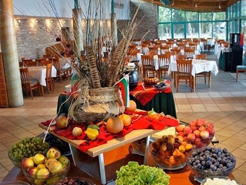 Hotel Boryana Albena Bulgaria (23 / 34)