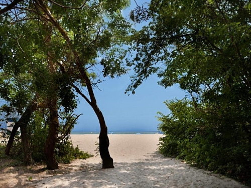 Hotel Slavuna Albena Bulgaria (24 / 26)