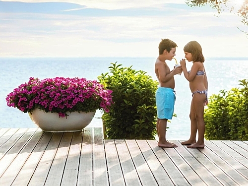 Hotel Ikos Olivia Sithonia (36 / 54)