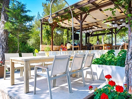 Hotel Esperia Thassos Grecia (30 / 44)