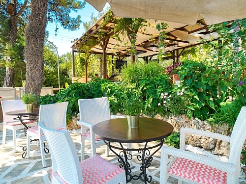 Hotel Esperia Grecia (27 / 44)