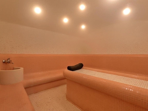 Hotel Golden Line Nisipurile de Aur Bulgaria (27 / 38)