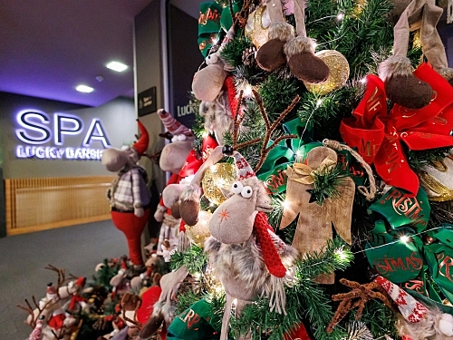 Lucky Bansko Aparthotel Spa & Relax Ski Bulgaria (39 / 55)