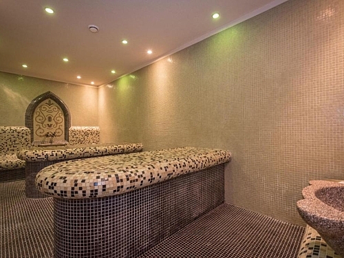 Hotel Lion Bansko Bansko (36 / 40)