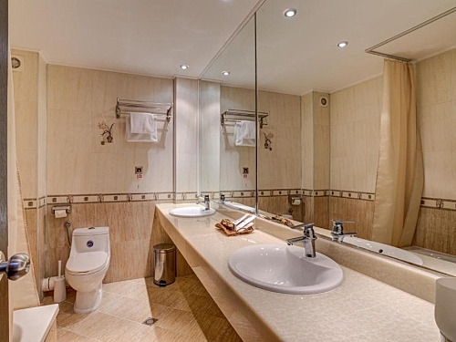 Hotel Bansko SPA & Holidays Ski Bulgaria (18 / 46)