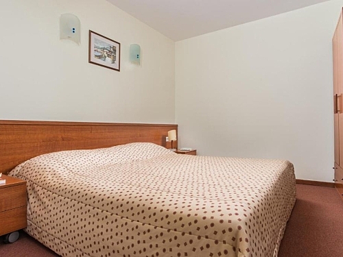 Hotel Pirin Bansko (17 / 27)