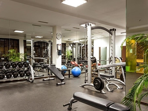 Hotel Perun Lodge Ski Bulgaria (30 / 42)