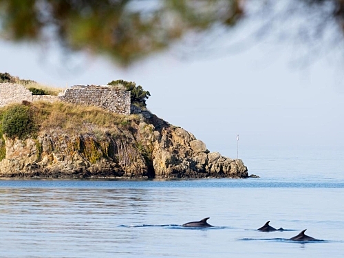 Hotel Akti Toroni Boutique Sithonia Grecia (39 / 43)