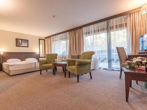 Hotel Lion Borovets Borovets (10 / 45)
