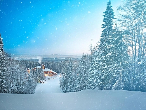 Hotel Yastrebets Wellnes & Spa Borovets (44 / 45)