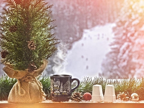 Hotel Yastrebets Wellnes & Spa Borovets (45 / 45)