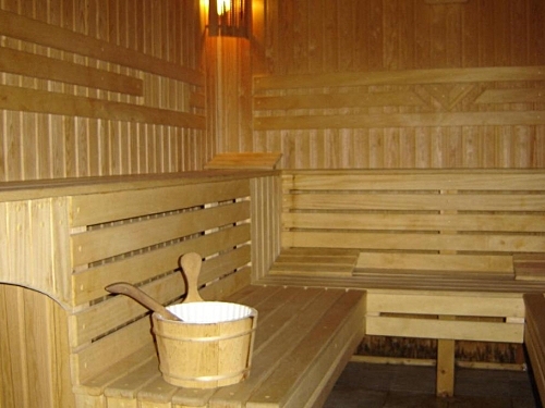 Finlandia Hotel Pamporovo Ski Bulgaria (24 / 25)