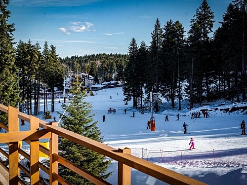 Hotel Musala (ex.Yanakiev) Borovets (13 / 36)