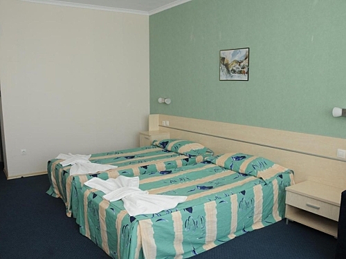 Hotel MPM Arsena Bulgaria (12 / 124)
