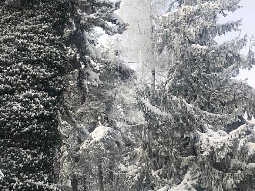 Hotel Bor Borovets (27 / 32)