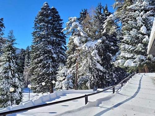 Hotel Bor Borovets (29 / 32)