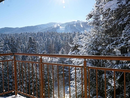 Hotel Bor Ski Bulgaria (31 / 32)