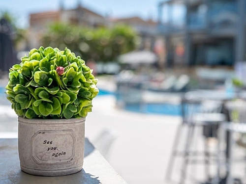 Dionysos Hotel & Suites Kassandra (42 / 44)