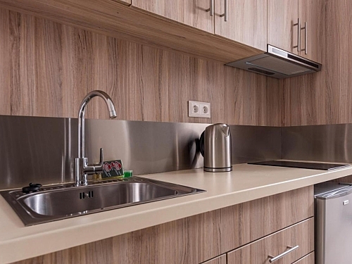 Dionysos Hotel & Suites Kassandra (8 / 44)