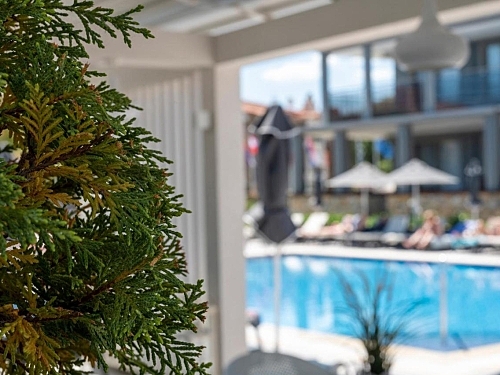 Dionysos Hotel & Suites Kassandra (43 / 44)