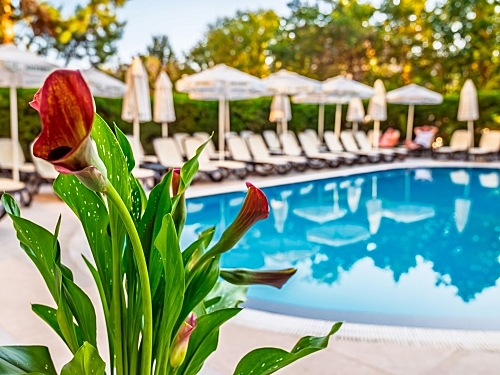 Hotel Aktinia Sunny Beach (11 / 28)