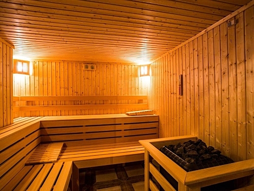 Hotel Sunny Hills Ski & Wellness Ski Bulgaria (44 / 49)