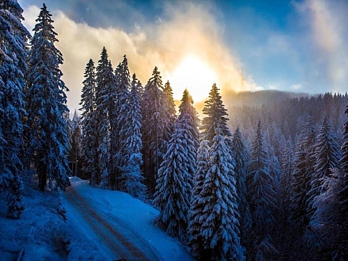 Hotel Sunny Hills Ski & Wellness Ski Bulgaria (48 / 49)