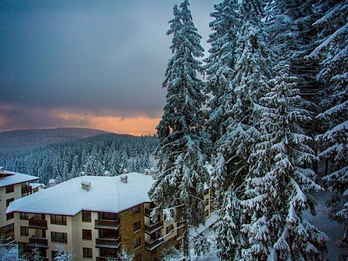 Hotel Sunny Hills Ski & Wellness Ski Bulgaria (49 / 49)
