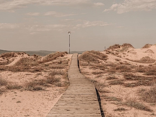 Hotel Sunny Beach Club - Adults only Sunny Beach (11 / 60)