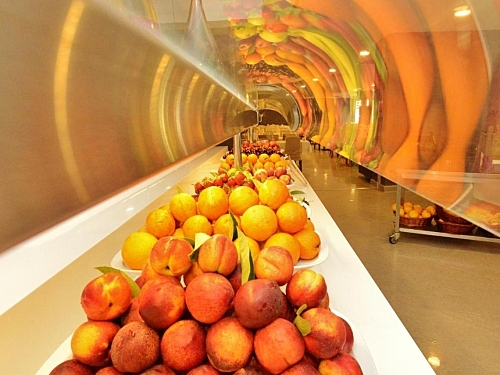 Hotel Green Nature Diamond Marmaris Turcia (25 / 46)