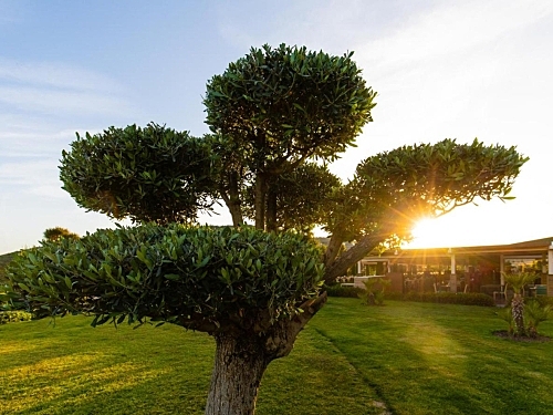 Hotel La Blanche Island Turcia (52 / 62)