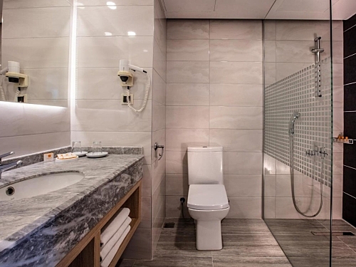 Palmin Hotel Turcia (8 / 37)