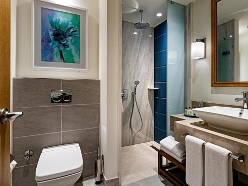 Titanic Luxury Collection Bodrum Bodrum (32 / 47)