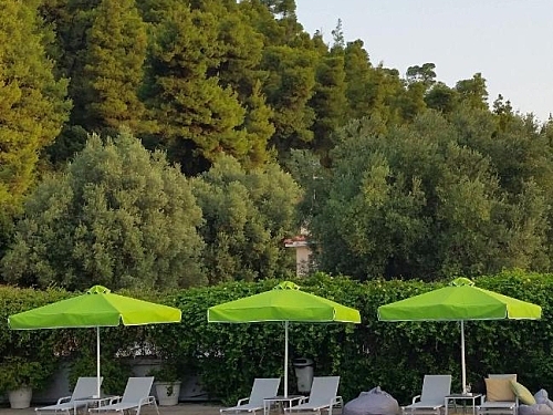 Palladium Hotel Kassandra (27 / 44)