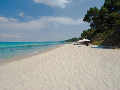 Palladium Hotel Grecia (36 / 44)