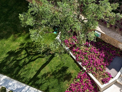 Hotel Ammon Zeus Kassandra Grecia (36 / 48)