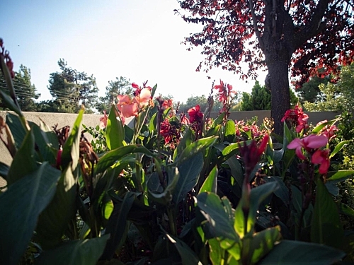 Hotel 8 Boutique Suites Kassandra (44 / 45)